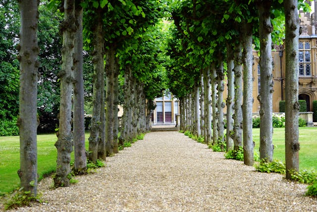 Centuries-Old Technique for Creating a Healing Garden