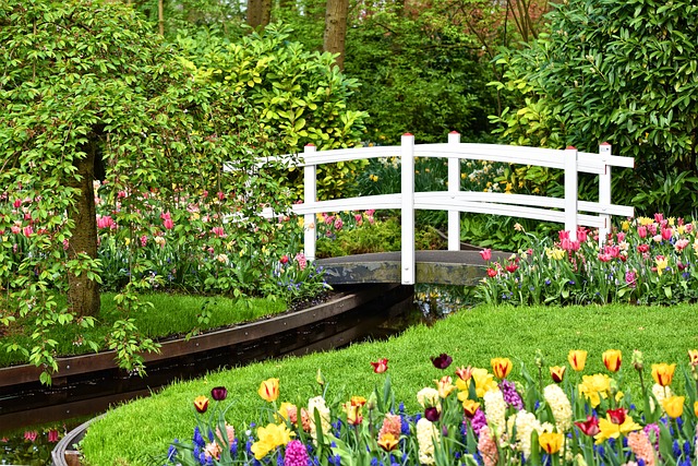 How to Design a Beautiful Garden That Improves Your Wellbeing